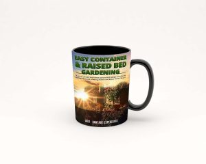 3) Mug